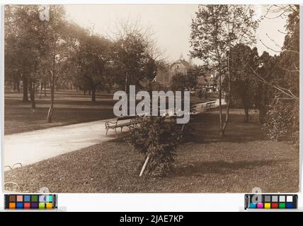 18., Währinger Park - Allgemein. Carl (Karl) Zapletal (1876-1941), Fotograf Stockfoto