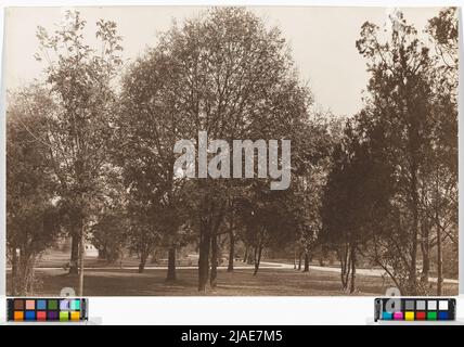 18., Währinger Park - Allgemein. Carl (Karl) Zapletal (1876-1941), Fotograf Stockfoto