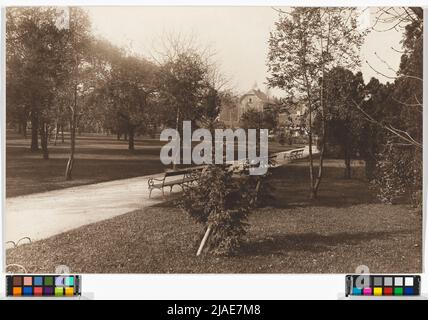 18., Währinger Park - Allgemein. Carl (Karl) Zapletal (1876-1941), Fotograf Stockfoto