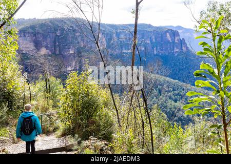 Blue Mountains Australien Frau beim Wandern auf dem Cliff Top Track im Grose Valley Blackheath, NSW, Australien Stockfoto