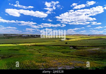 Wunderschöne grüne Hügel und Schluchten im Naturpark „Don“, der Wolgograder Region. Russland Stockfoto