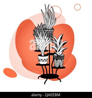 Topfblumen auf einem Ständer, Inneneinrichtung auf farbigem Hintergrund. Handgezeichnete, lineare Schwarz-Weiß-Skizze. Große Zimmerpflanzen im Freien. Vektor Stock Vektor
