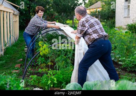 Reifes Paar schützt Pflanzen vor der Kälte auf einem Gartengrundstück Stockfoto