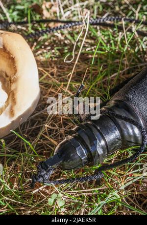 Frische Brötchen und Weinbeutel über Gras. Traditioneller spanischer Landsnack Stockfoto