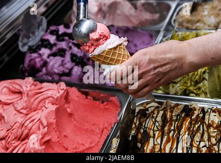 Berlin, Deutschland. 24.. Mai 2022. In der Eiskultur-Eisdiele in Schöneweide wird eine Kugel Erdbeereis auf eine weitere Kugel in einem Waffelkegel gelegt. Eis und Sorbet gehören für viele Deutsche zum Sommer. Jedes Jahr werden neue Geschmacksrichtungen zum Trend erklärt. Viele bevorzugen jedoch die klassischen Aromen von Vanille, Schokolade und Erdbeere. (To dpa: „Sommertrends 22: Fischhüte in, Booties out?“) Quelle: Jens Kalaene/dpa/Alamy Live News Stockfoto