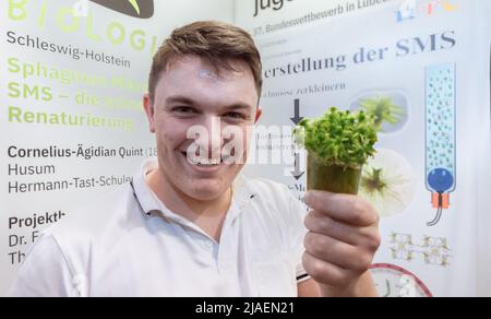 28. Mai 2022, Schleswig-Holstein, Lübeck: Cornelius-Ägidian Quint aus Schleswig-Holstein zeigt sein Forschungsobjekt MOSS beim Landesfinale von Jugend forscht 57.. Er entwickelte eine innovative Methode, die es Moosen ermöglicht, sich auf ehemaligen Moorgebieten schneller wieder zu etablieren, um sie zu renaturieren. Für das originellste Werk wurde ihm der Kanzlerpreis verliehen. Insgesamt 108 Forschungsprojekte nahmen am Landesfinale 57. von Jugend forscht Teil. Foto: Markus Scholz/dpa Stockfoto