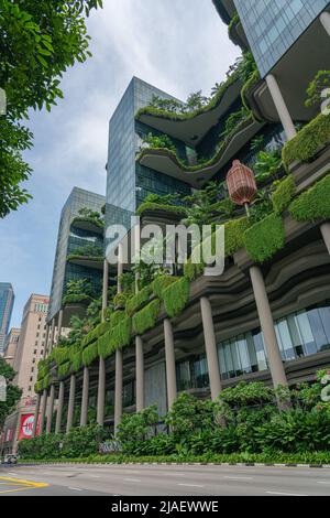 Singapur, Singapur - 10. Juni 2018: Hotelgärten mit der Straße vor dem Hotel. Stockfoto