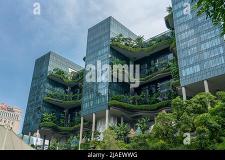 Singapur, Singapur - 10. Juni 2018: Blick auf die Gärten mit blauer Fensterfassade Stockfoto