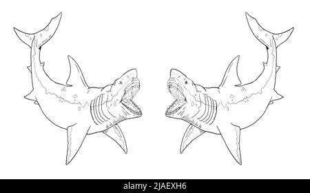 Prähistorischer Hai - Megalodon. Zeichnung von großen Haien. Monster Fisch Megalodon Illustration. Malbuch. Stockfoto