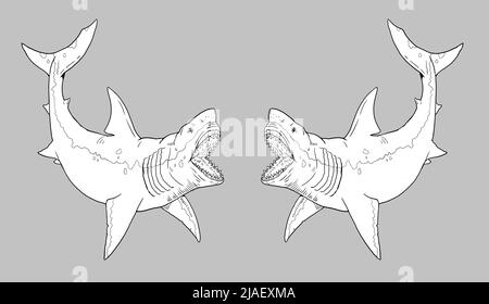 Prähistorischer Hai - Megalodon. Zeichnung von großen Haien. Monster Fisch Megalodon Illustration. Stockfoto