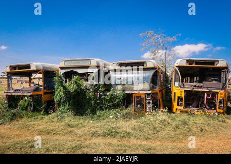 Verrostete und zerkleinerte Busse auf dem Panzerfriedhof in Asmara, Eritrea Stockfoto