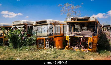 Verrostete und zerkleinerte Busse auf dem Panzerfriedhof in Asmara, Eritrea Stockfoto