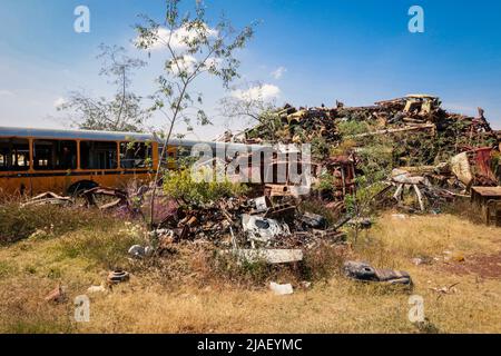 Verrostete und zerkleinerte Busse auf dem Panzerfriedhof in Asmara, Eritrea Stockfoto