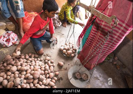 Die Regierung von Westbengalen hat Schulen der staatlichen Regierung angewiesen, während der Sommerferien Mittagsessen an Eltern von Schülern zu verteilen, damit den bedürftigen Kindern das Programm nicht entzogen wird. In der Mitteilung hieß es, dass jeder Schüler 2 kg Reis, 2 kg Kartoffeln, 250 Gramm Zucker, 250 Gramm Hülsenfrüchte und ein Stück Seife erhalten würde. So kamen die Schüler in den Sommerferien an eine Grundschule, um ihre Essensartikel zu holen, und einige von ihnen helfen auch, Lebensmittel in Nabin Nagar, Westbengalen, Indien, zu geben. Stockfoto