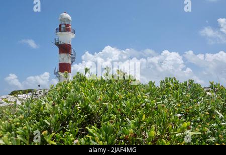 Blick auf den Leuchtturm von Punta Cancun, Faro de Punta Cancun, durch die grüne Vegetation am nördlichen Ende der Hotelzone, Zona Hotelera, in Mexiko Stockfoto