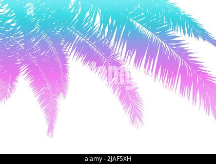 Palmblätter auf weißem Hintergrund Stockfoto
