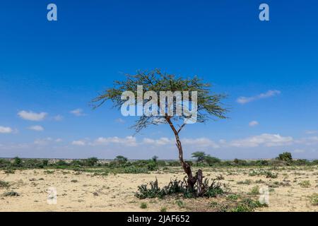 Panoramablick von den Höhlen von Las Geel auf das Tal der Umgebung Stockfoto