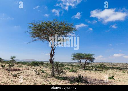 Panoramablick von den Höhlen von Las Geel auf das Tal der Umgebung Stockfoto