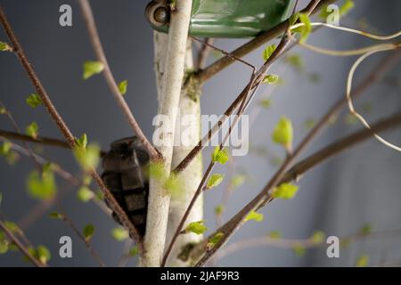 Viele Granaten und Raketen des Krieges in der Ukraine. Granaten, Geldautomaten, Marschflugkörper. Antipersonenmine. Gebiet gelöscht. Entminung durch Truppen des Terr Stockfoto