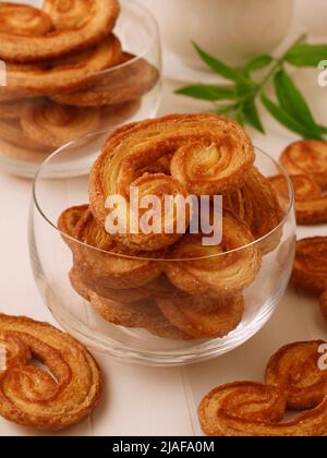 Süße kleine Palmen. Stockfoto