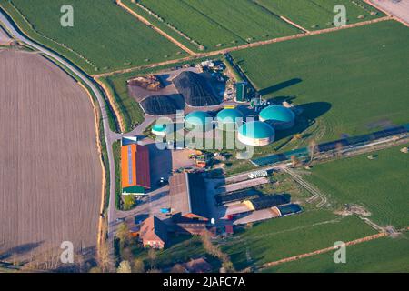 Zuchtbetrieb mit Biogasanlage, 04/18/2022, Luftaufnahme, Deutschland, Niedersachsen, Butjadingen Stockfoto