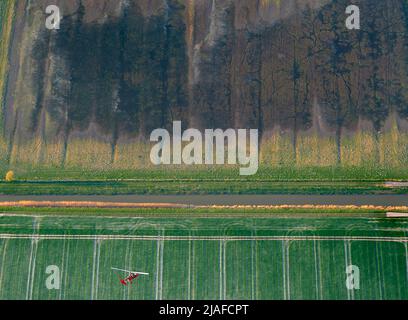 Marschland bei Kehdingen, 04/18/2022, Luftaufnahme, Deutschland, Niedersachsen, Kehdinger Land Stockfoto