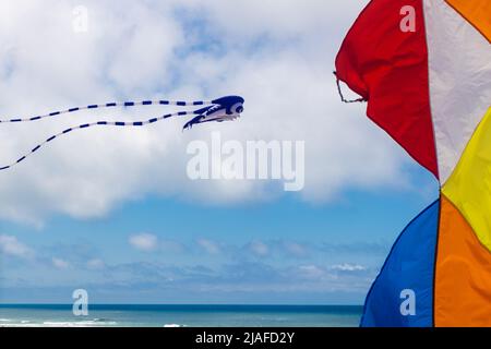 Farbenfrohe Drachen fliegen am Himmel über dem Meer mit Nahaufnahme, die Details lebendiger Farben zeigt Stockfoto