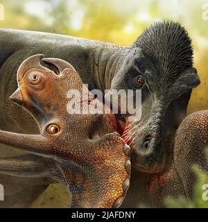 T. rex gegen Triceratops Stockfoto