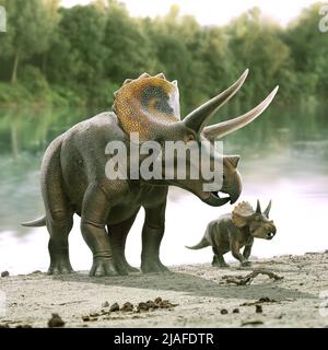 Triceratops und sein Kalb Stockfoto