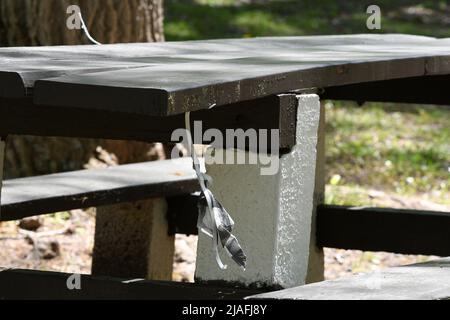 HENKER: Eine Figur, die aus Papier erschaffen wurde, baumelt am Hals von einem Picknicktisch, der das Hängen eines Mannes im Menlo Park in Edison, New Jersey, simuliert. Stockfoto