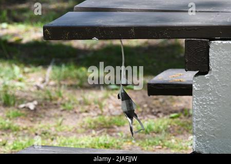 HENKER: Eine Figur, die aus Papier erschaffen wurde, baumelt am Hals von einem Picknicktisch, der das Hängen eines Mannes im Menlo Park in Edison, New Jersey, simuliert. Stockfoto