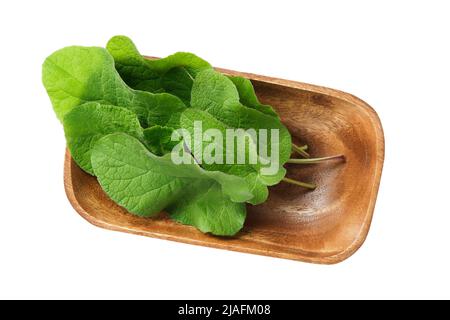 Holzschale aus grünen Burdock-Blättern, isoliert auf Weiß. Draufsicht. Stockfoto