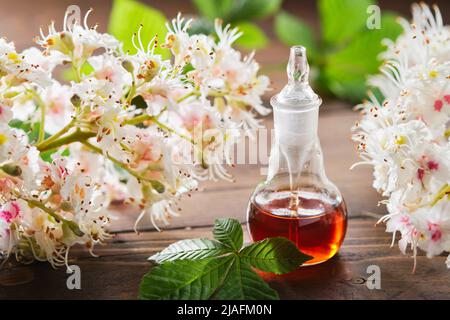 Flasche Infusion oder Tinktur von Blütenkastanienbaum. Blühende Rosskastanienzweige und Blätter. Alternative Kräutermedizin Stockfoto