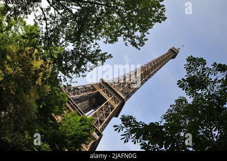 Blick auf den Eiffelturm durch Bäume. Stockfoto
