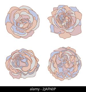 Handgezeichnete Rosenblumen aus abstrakten Farbflecken Formen gesetzt, Blüte Blumen Sammlung isoliert auf dem weißen Hintergrund. Vintage Botanik Dekorationselemente für florisches Design Vektor Illustration. Stock Vektor
