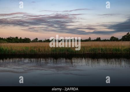 Norfolk Broads Norfolk Dawn England May 2022 der Broads (bekannt für Marketingzwecke als Broads National Park) ist ein Netzwerk von meist schiffbaren ri Stockfoto