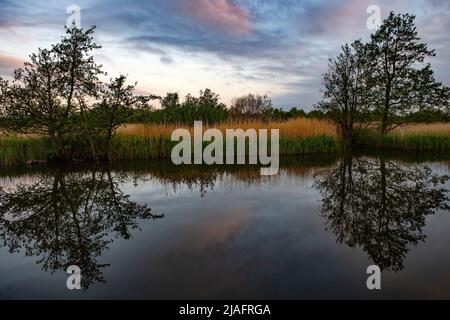 Norfolk Broads Norfolk Dawn England May 2022 der Broads (bekannt für Marketingzwecke als Broads National Park) ist ein Netzwerk von meist schiffbaren ri Stockfoto