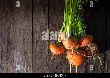 Frisches Heim Gartenbett angebaut Bio-Karotten auf Scheune Holztisch Stockfoto