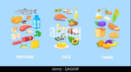 Healthy macronutrients. Nutrition chart of carbohydrates fats proteins, complex diet macros food, carbs healthy balance, vegetables seafood meal antioxidants, cartoon vector illustration of nutrition Stock Vektor