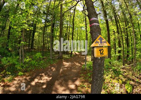 Ein OFATV ATV und ein Dirtbike Multi-Use oder Mehrzweckpfad in Phelpston, Ontario, Kanada Stockfoto