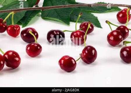 Frische Kirschbeeren, grüne Blätter und Zweig isoliert auf weißem Hintergrund Stockfoto