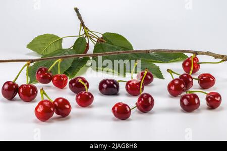 Kirschen, Blätter, Zweig isoliert auf weißem Hintergrund. Stockfoto