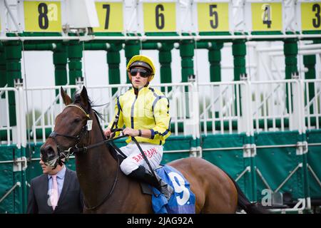 Jockey Tom Marquand über perfekte Nachrichten bei York Races. Stockfoto