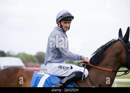 Jockey Daniel Tudhope auf Love Interest bei York Races. Stockfoto