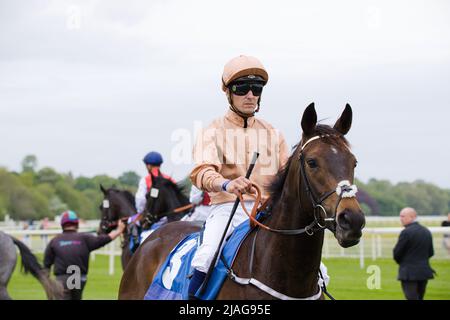 Jockey Kevin Stott auf Eidikos bei York Races. Stockfoto