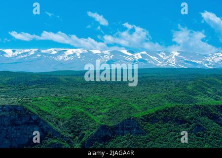 Schöne bewaldete Berglandschaft mit schneebedeckten Gipfeln im Hintergrund Stockfoto