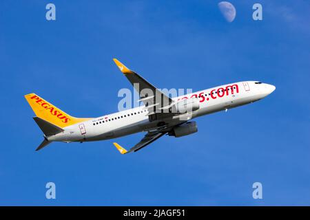 Pegasus Airlines Boeing 737-Flugzeuge starten vom internationalen Flughafen Amsterdam Schiphol. Niederlande - 16. Februar 2016 Stockfoto