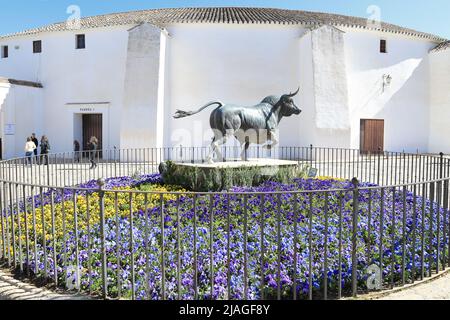 Statue eines Stiers vor der Stierkampfarena und dem Stierkampfmuseum - eine der touristischen Sehenswürdigkeiten in der Stadt Ronda, Malaga, Spanien Stockfoto