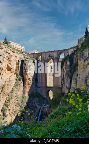 Ronda, Malaga, Spanien - leuchtend gelbe Frühlingsblumen und Wasserfall an der Neuen Brücke über die 120 Meter hohe Schlucht El Tajo des Flusses Guadalevín Stockfoto