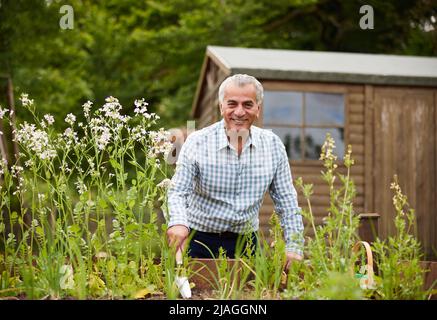 Porträt Eines Älteren Mannes Im Garten Zu Hause Beim Graben Und Jäten In Hochbetten Stockfoto